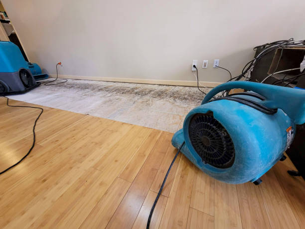Professional Water Damage Repair technician working in Readyville, TN